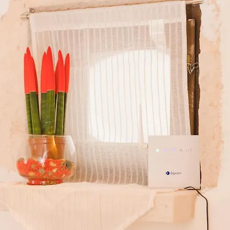 Casa Micaela Dom wakacyjny Noci